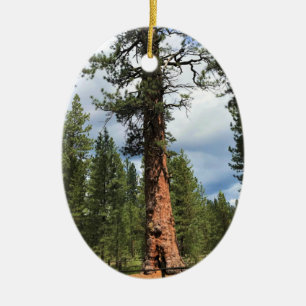 Big Red Tree, La Pine, OR Keramik Ornament