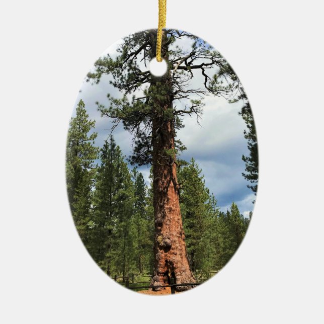 Big Red Tree, La Pine, OR Keramik Ornament (Vorne)