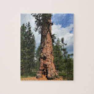 Big Red Tree, La Pine, OR Puzzle