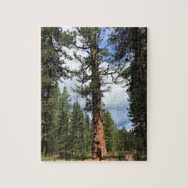 Big Red Tree, La Pine, Oregon Puzzle (Vertikal)