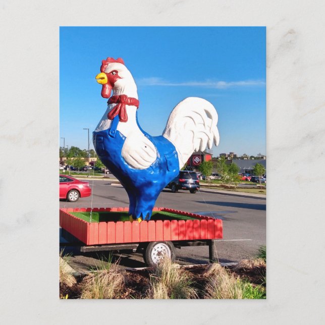 Big Rooster Postkarte (Vorderseite)