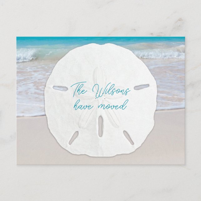 Big Sand Dollar Tropical New Address Postcards Ankündigungspostkarte (Vorderseite)