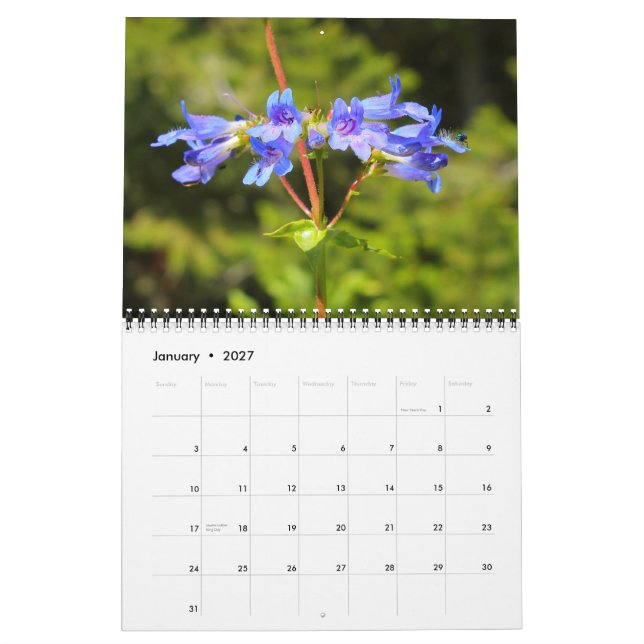 Big Sky Country Wildblumen 2012 Kalender (Jan 2027)