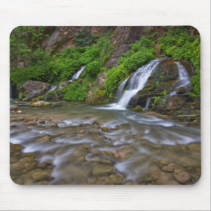 Big Springs Virgin River   Zion-Nationalpark Mousepad