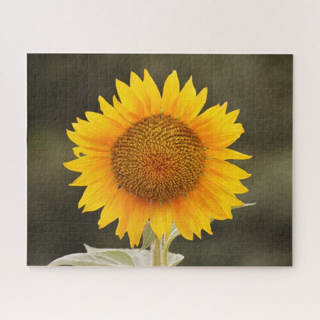 Big Sunflower Blume Puzzle (Horizontal)