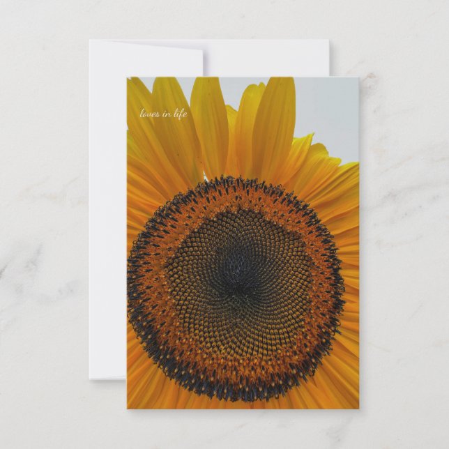 Big Sunflower Mitteilungskarte (Vorderseite)