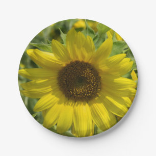 Big Sunflower Paper Plate Pappteller