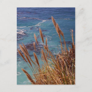 Big Sur California Postcard Postkarte