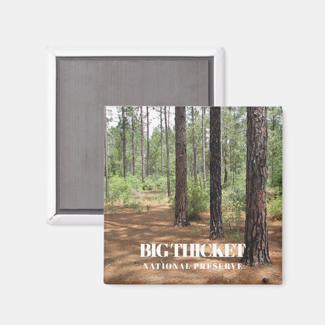 Big Thicket National Reserve, Pine Forest, Texas Magnet (Vorderseite/Rückseite)