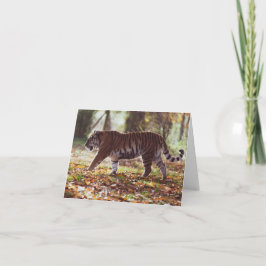 Big Tiger Geburtstagskarte Karte