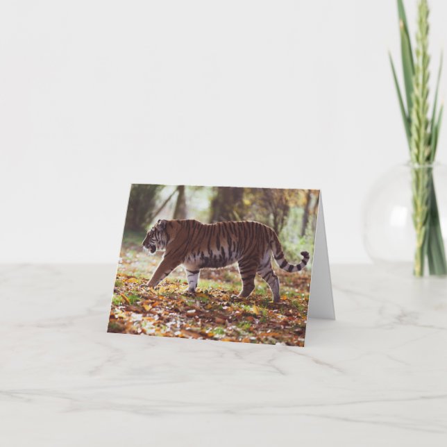 Big Tiger Geburtstagskarte Karte (Vorderseite)