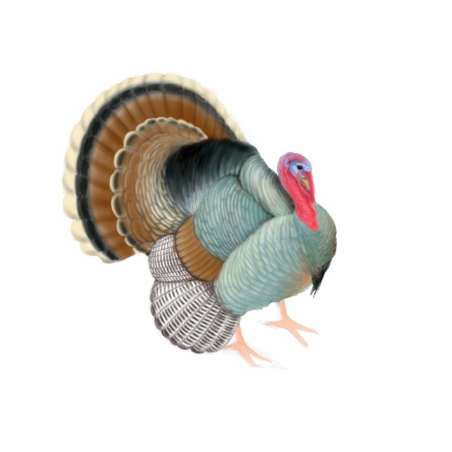 Big Tom Turkey Holiday Ornament Fotoskulptur Ornament (Vorne)