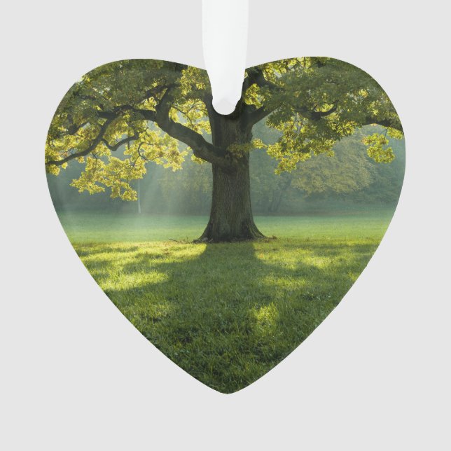 Big Tree Forest Dated Foto Custom Ornament (Vorderseite)