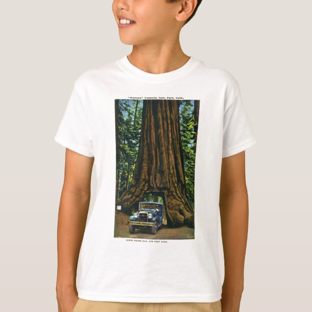 Big Tree Wawona, Mariposa Grove, CA T-Shirt (Vorderseite)