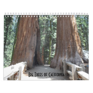 Big Trees of California Kalender
