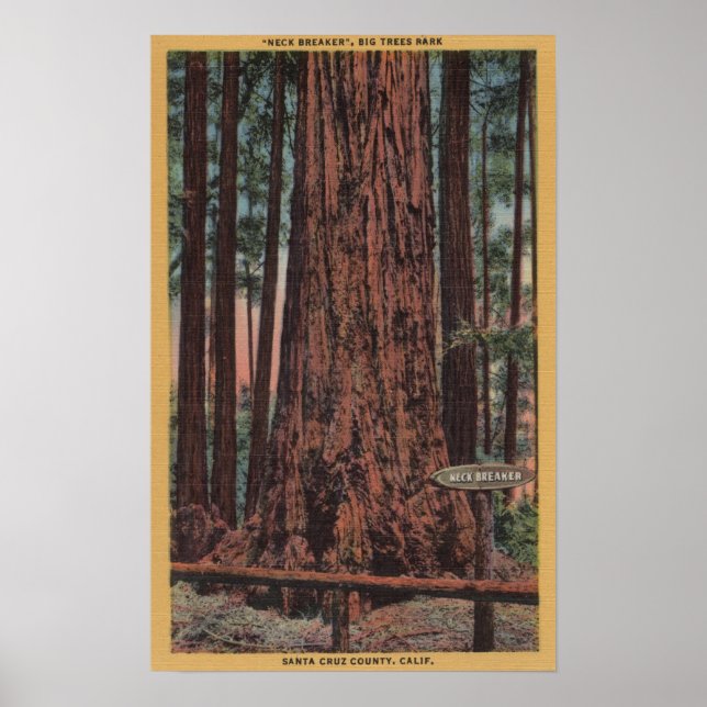 Big Trees Staat Park, CA - Neck Breaker Tree Poster (Vorne)