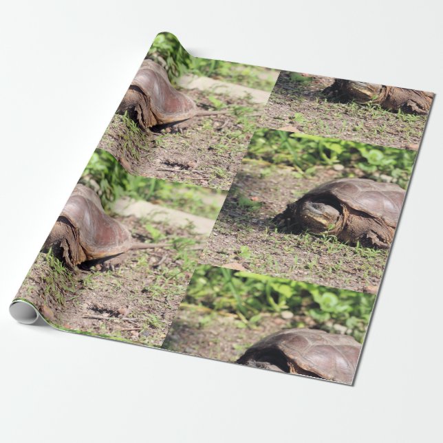 Big Typ Geschenkpapier (Ungerollt)