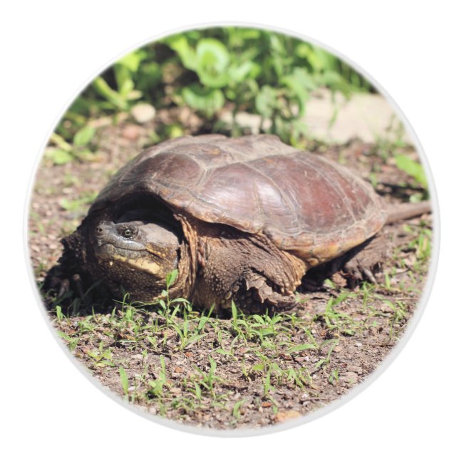 Big Typ Keramikknauf (Vorderseite)