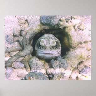 Big Ugly Jawfish Poster