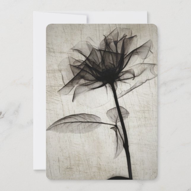 Big Vintage X-Ray Flower (Vorderseite)