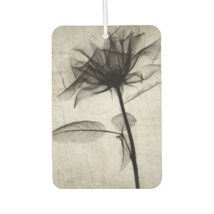 Big Vintage X-Ray Flower Autolufterfrischer