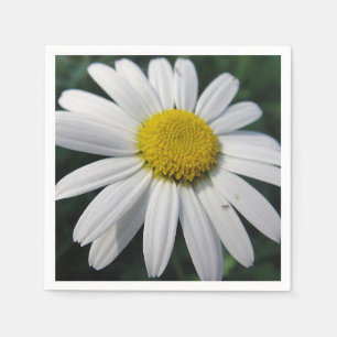 Big White Daisy Napkins Serviette