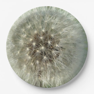 Big White Dandelion Pappteller