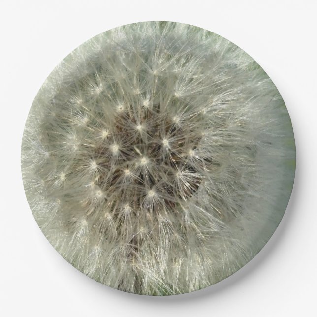 Big White Dandelion Pappteller (Vorderseite)
