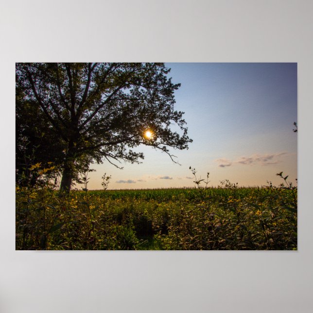 Bigelow Friedhof Staat Preserve, Ohio Poster (Vorne)