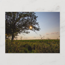 Bigelow Friedhof Staat Preserve, Ohio Postkarte