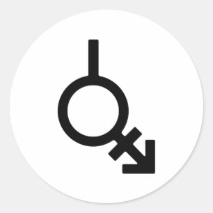 Bigender Androgyne und Neutrois-Geschlechtssymbol Runder Aufkleber
