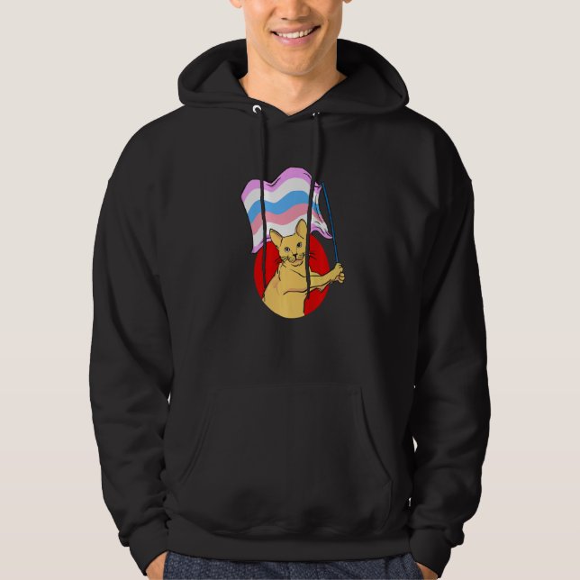 Bigender Flag Cat Nichtbinär Geschlecht Hoodie (Vorderseite)