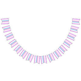 Bigender-Pride-Flag Wimpelkette