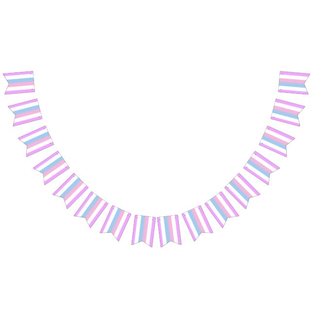 Bigender-Pride-Flag Wimpelkette (Alle)