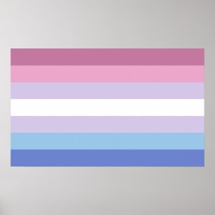 Bigender Stolz Poster