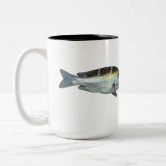 Bigeye Kaiser, Mu, Monotaxis Großoculis Zweifarbige Tasse