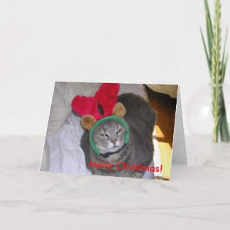 bigfatcat, frohe Weihnachten! Feiertagskarte