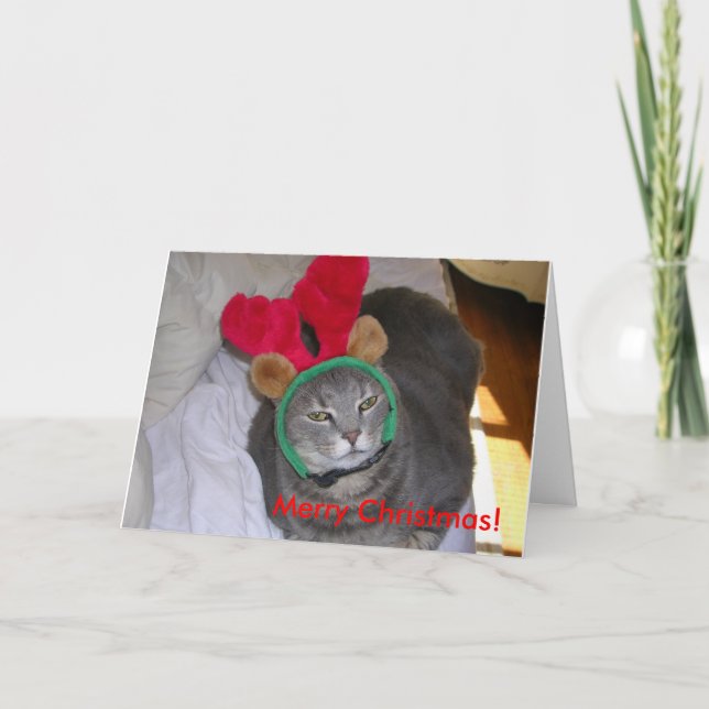 bigfatcat, frohe Weihnachten! Feiertagskarte (Vorderseite)