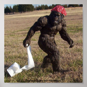 Bigfoot-Anvisieren Poster