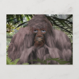 BIGFOOT FOTOGRAD POSTKARTE