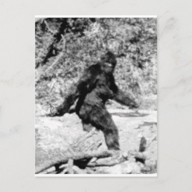 Bigfoot Postkarte (Vorderseite)