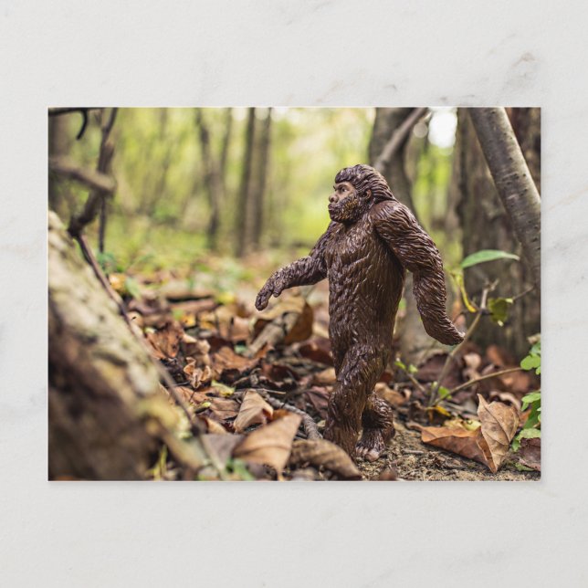 Bigfoot Postkarte | Sasquatch (Vorderseite)