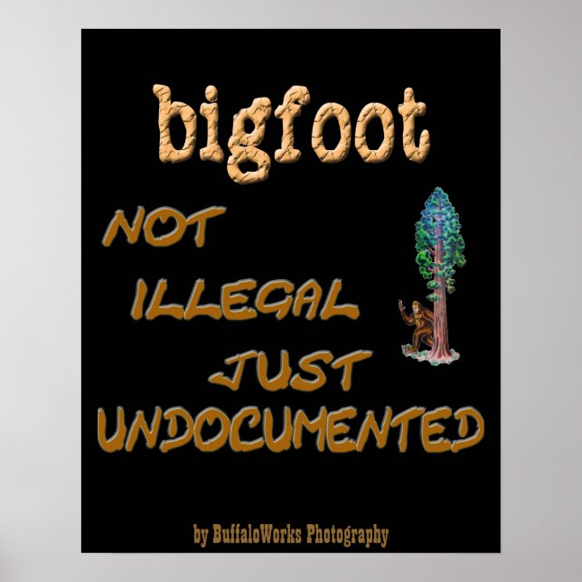 Bigfoot undokumentiert poster (Vorne)