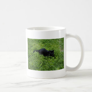 biggby summer.jpg tasse