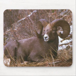 Bighorn-RAM Mousepad