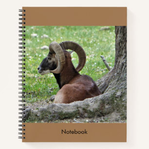 Bighorn Ram Notebook Notizbuch