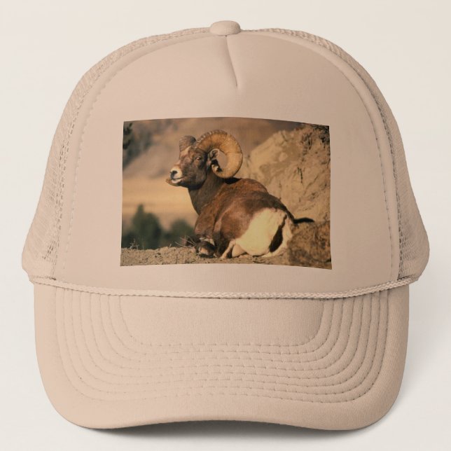 Bighorn Ram Truckerkappe (Vorderseite)