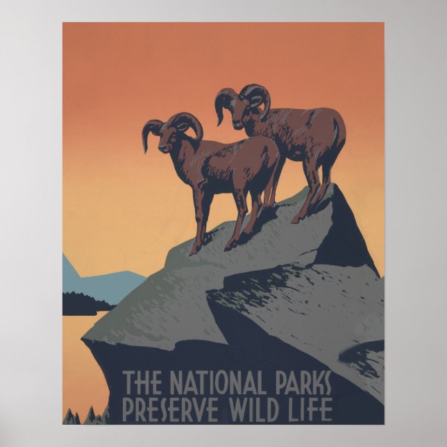 Bighorn Sheep American West Wildlife Poster (Vorne)