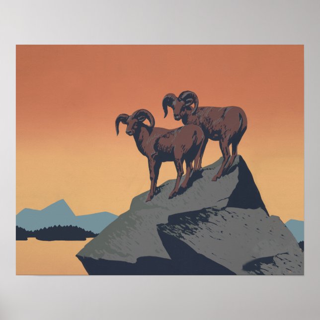 Bighorn Sheep American West Wildlife Poster (Vorne)