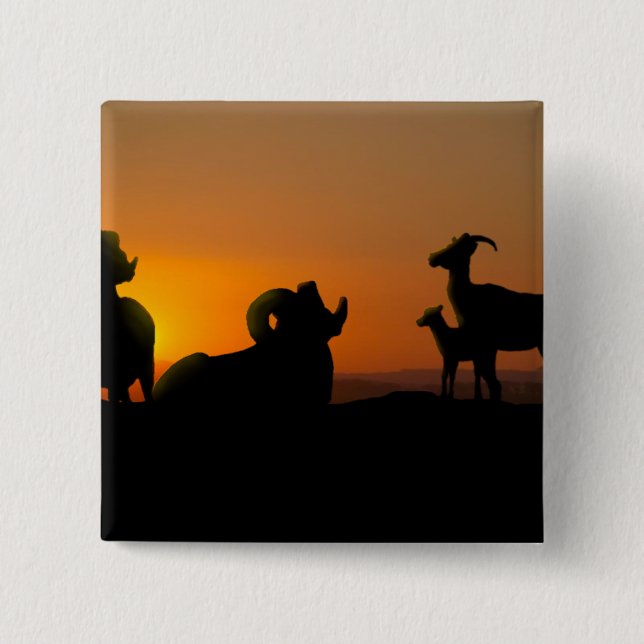 Bighorn Sheep Button (Vorderseite)